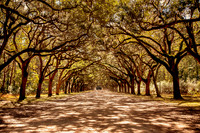 Savannah 2018