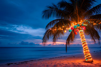 Christmas beach sunset