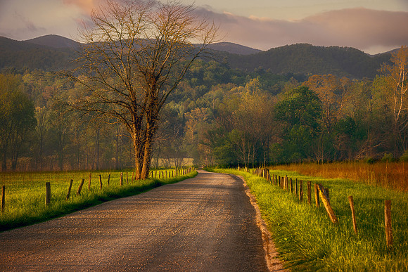 Spring Sunrise, Cades Cove, Great Smoky Mountains National Park