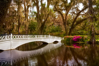White bridge reflected in the water of a swamp surrounded by tre