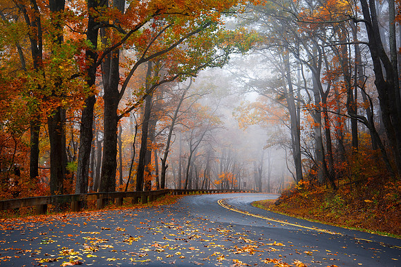 foggy ride