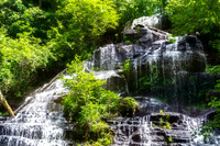 Tenn to Anderson SC